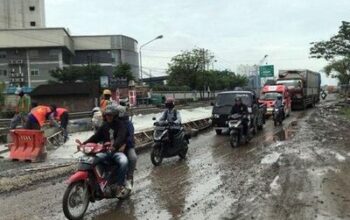pantura1.jpg