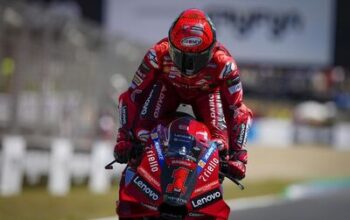 pecco1.jpg