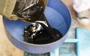 olbek1.jpg olbek1.jpg